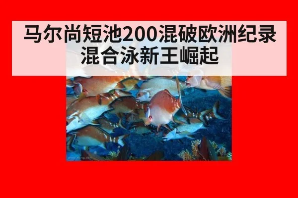 马尔尚短池200混破欧洲纪录 混合泳新王崛起